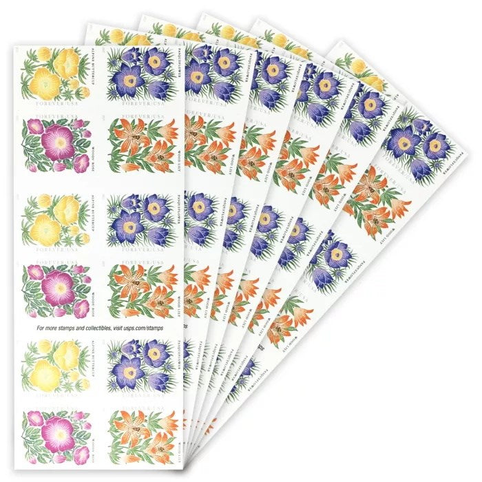 2022 Mountain Flora 100pcs/Pack