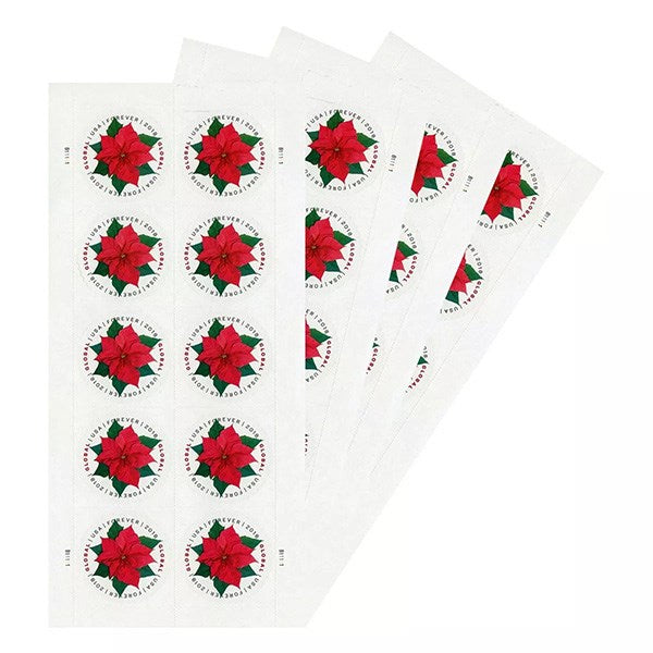 2018 Global Poinsettia International 100pcs/Pack