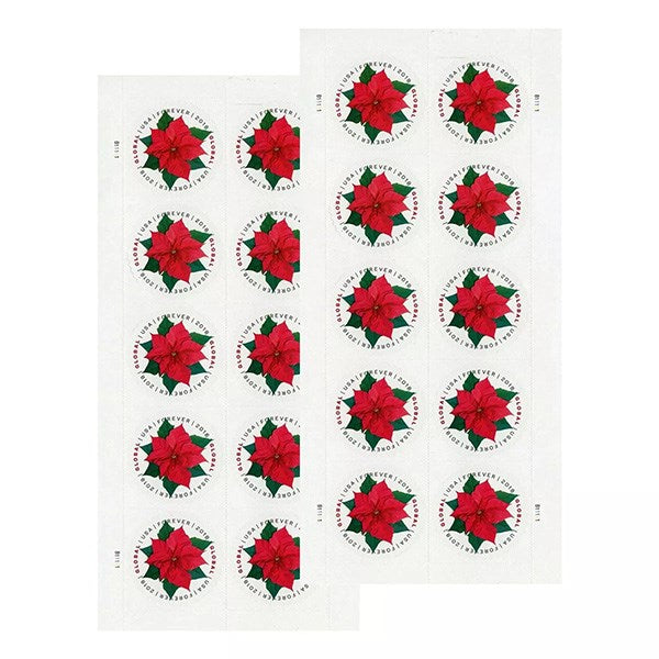 2018 Global Poinsettia International 100pcs/Pack