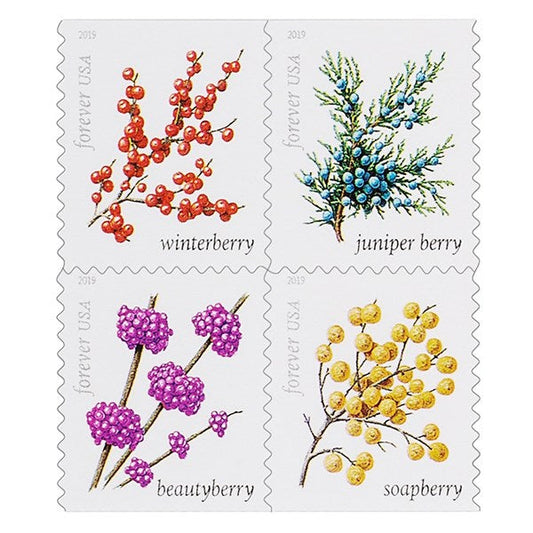 2019 Winter Berries 100pcs/Pack