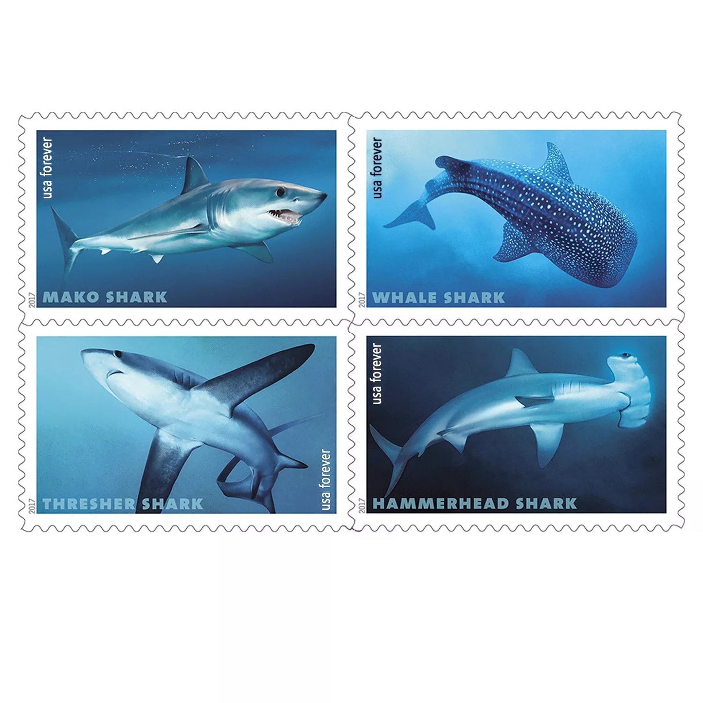 2017 Postal Issue Sharks 100pcs/Pack