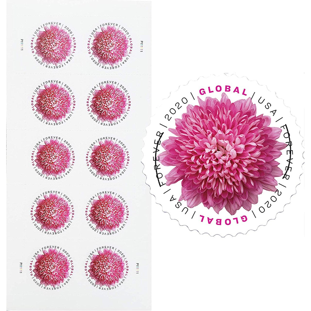 2020 Chrysanthemum 100pcs/Pack