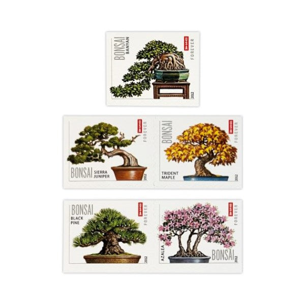 2012 Bonsai 100pcs/Pack