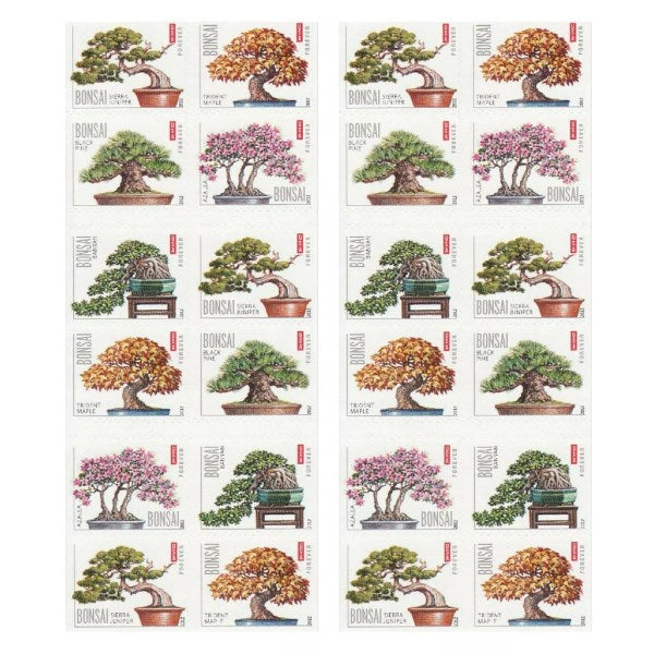 2012 Bonsai 100pcs/Pack