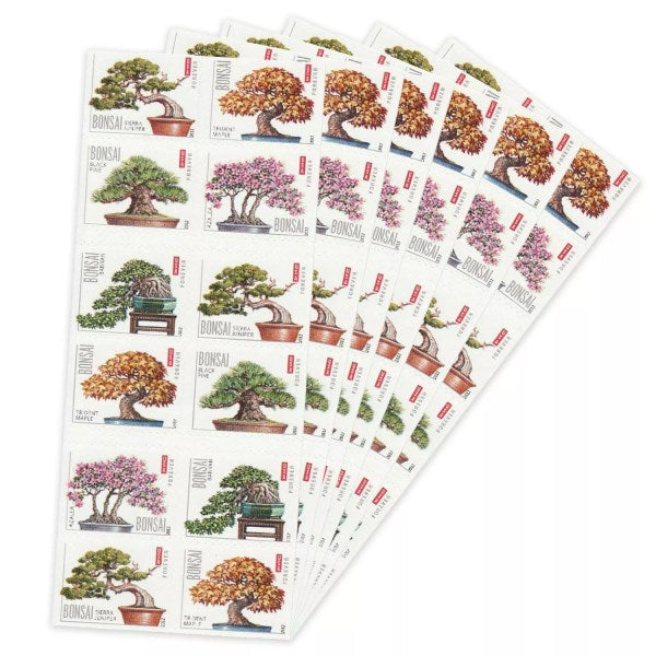 2012 Bonsai 100pcs/Pack