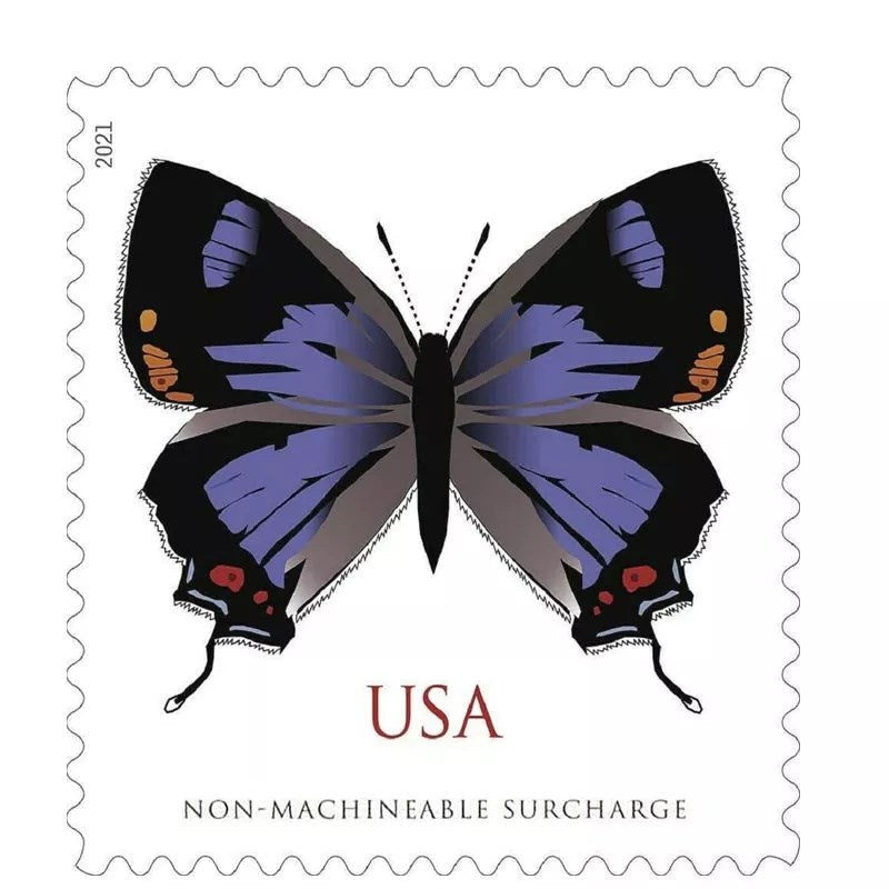 2021 Colorado Hairstreak 100pcs/Pack