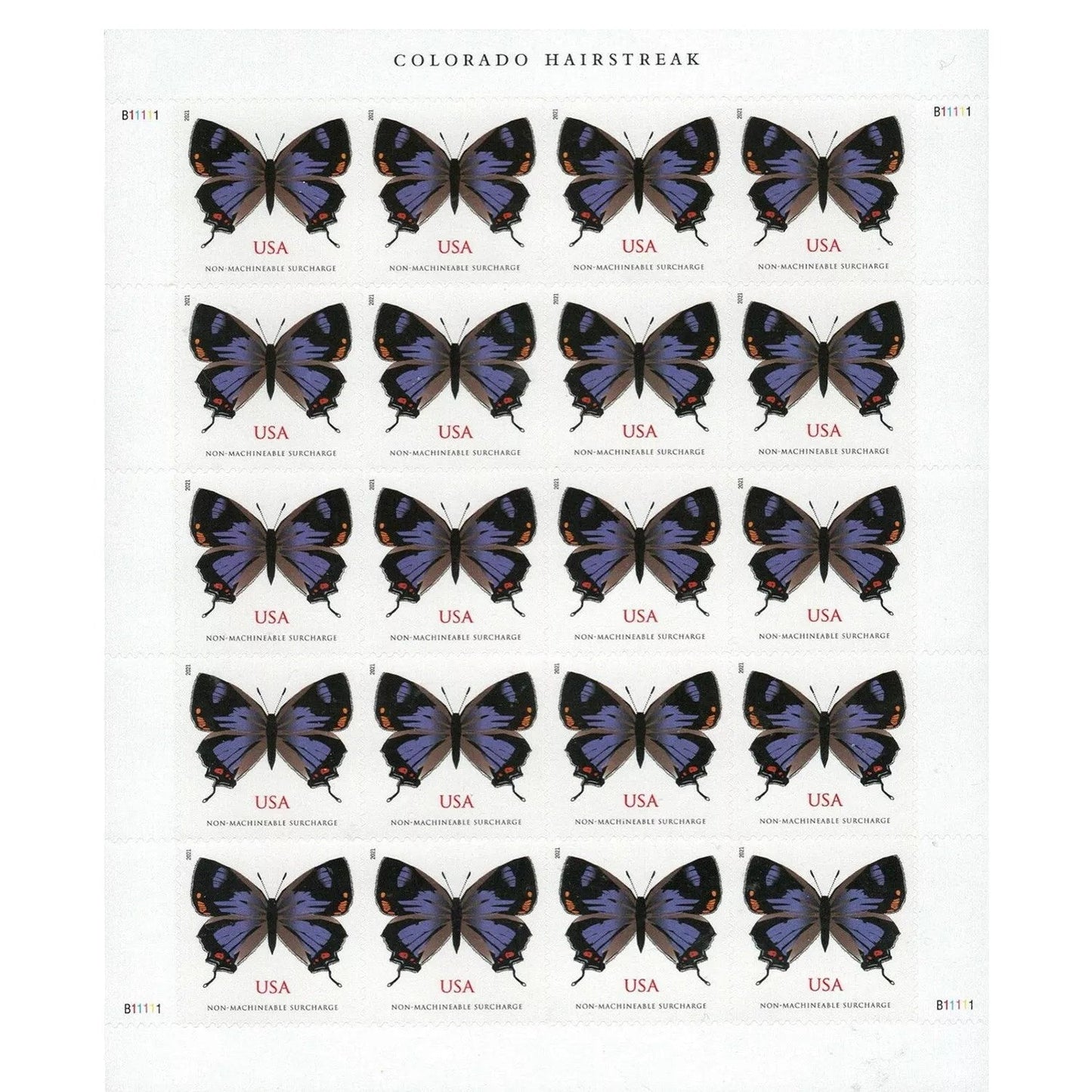 2021 Colorado Hairstreak 100pcs/Pack