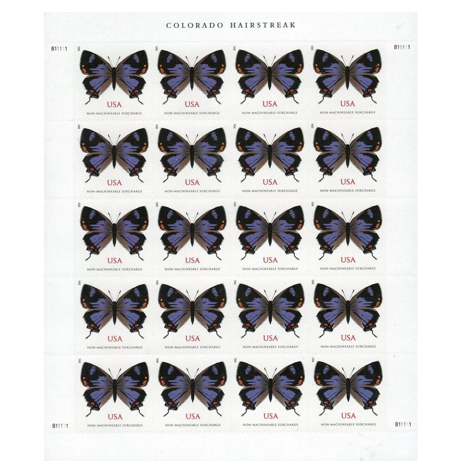 2021 Colorado Hairstreak 100pcs/Pack