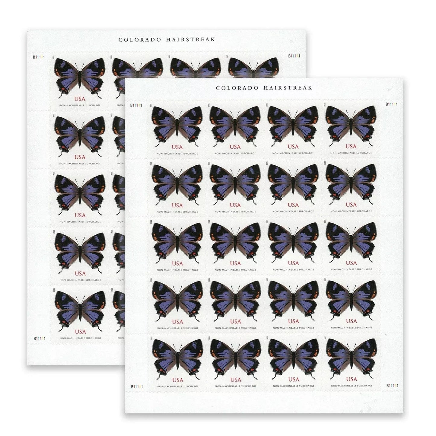 2021 Colorado Hairstreak 100pcs/Pack